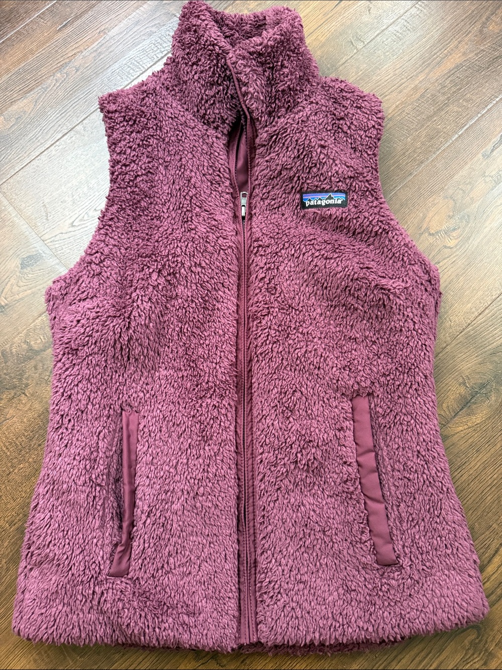 Patagonia Los Gatos vest
